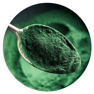 Espirulina